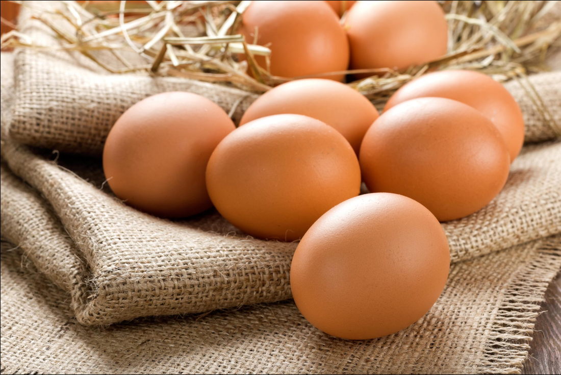 Free Range Organic Eggs