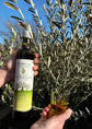Organic Extra Virgin Olive Oil - Early Harvest