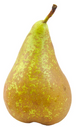 Conference Pear