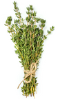 Bunched Thyme