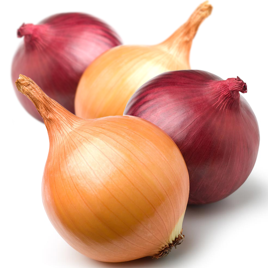 Organic Onions - Brown or Red