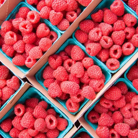 Punnet of Raspberries