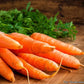 Bunched Carrots