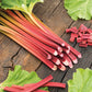 Rhubarb (500g)