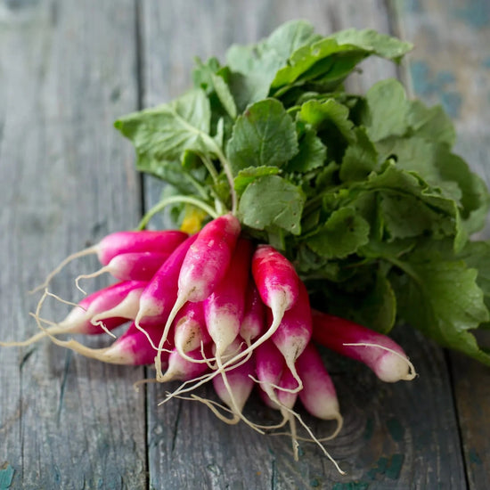 Bunched Radish