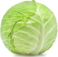 White Cabbage