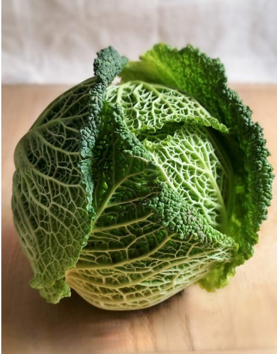 Large Savoy Cabbage (Sussex Grown)