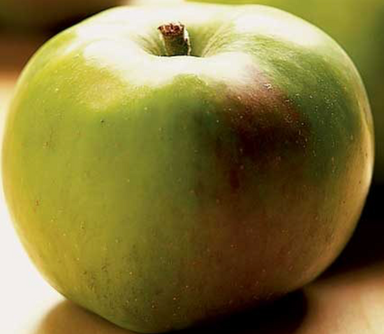 Bramley Apples (Sussex Grown)