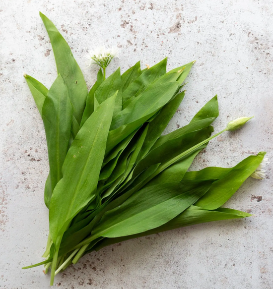 Wild Leaf Garlic (Sussex Grown)