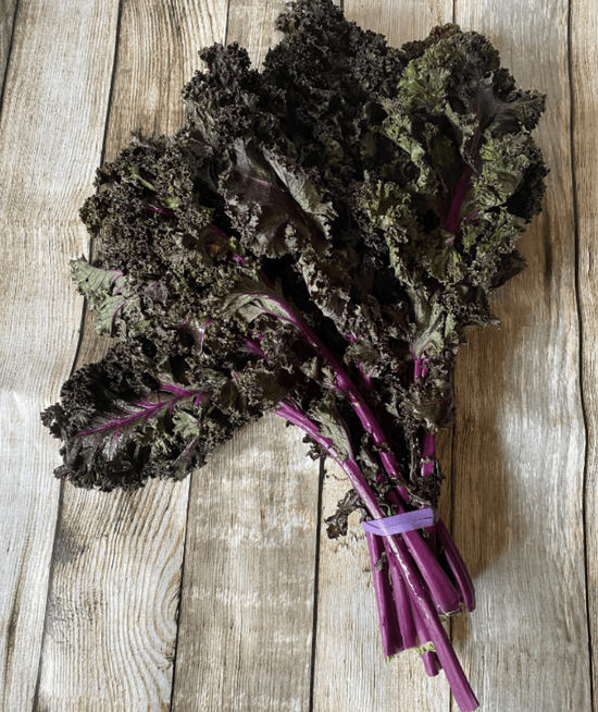Bunch of Red Kale - 500g (Sussex Grown)